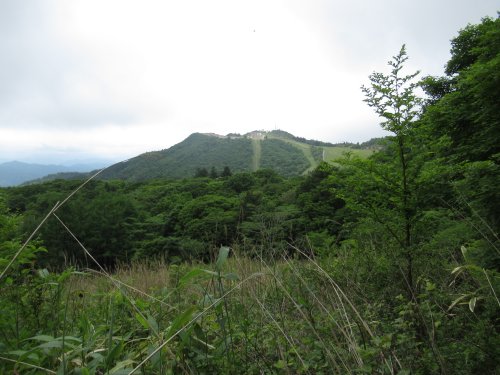 登山道